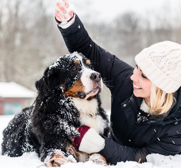 Winter Isn’t Gentle on Dog Paws: Here’s How to Protect Them