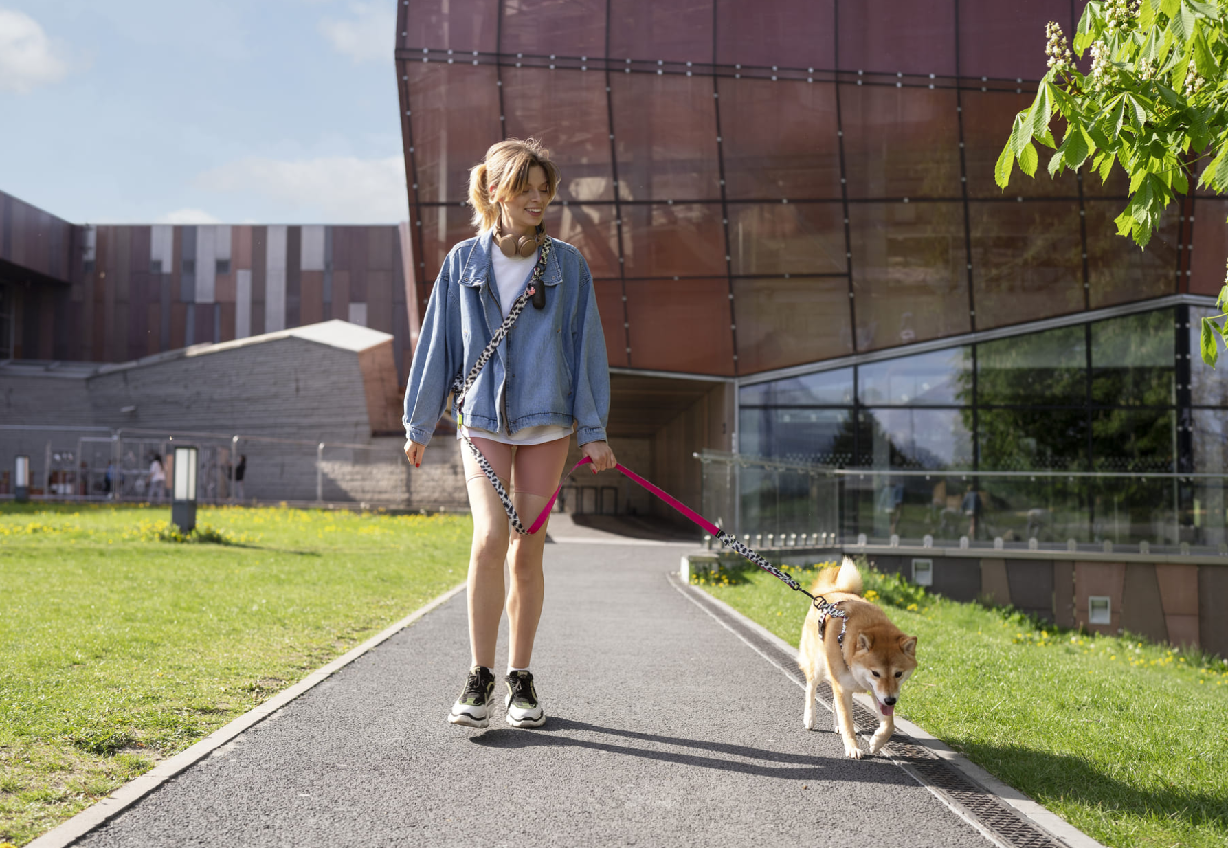 City Walks Are Tough on Your Dog’s Paws—Here’s What You Can Do